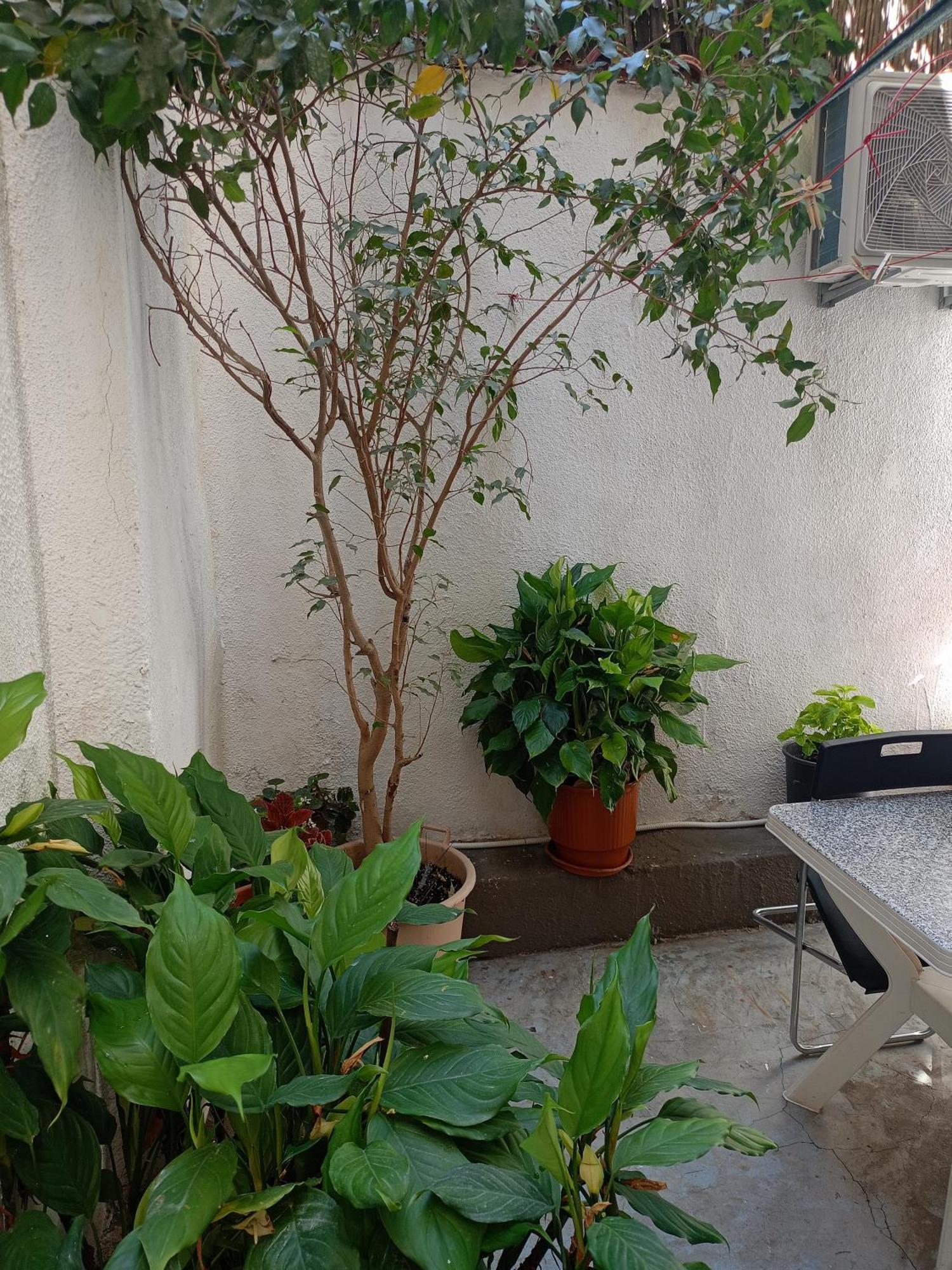Katerina'S House Near Acropolis Apartment Athens Exterior photo